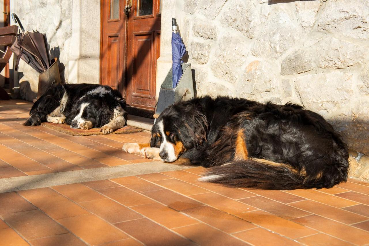 Tourist Farm Skerlj Βίλα Dutovlje Εξωτερικό φωτογραφία